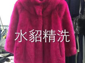 天津貂皮改款