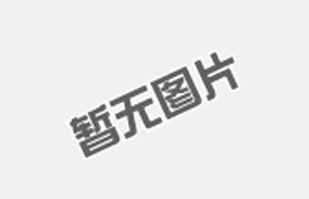 天津水貂定做